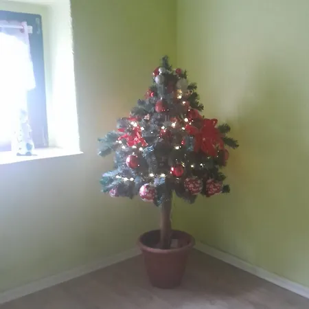 Taurasteinblick Burgstadt