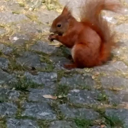 Taurasteinblick 아파트 *