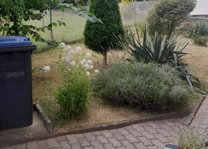 Taurasteinblick Burgstadt