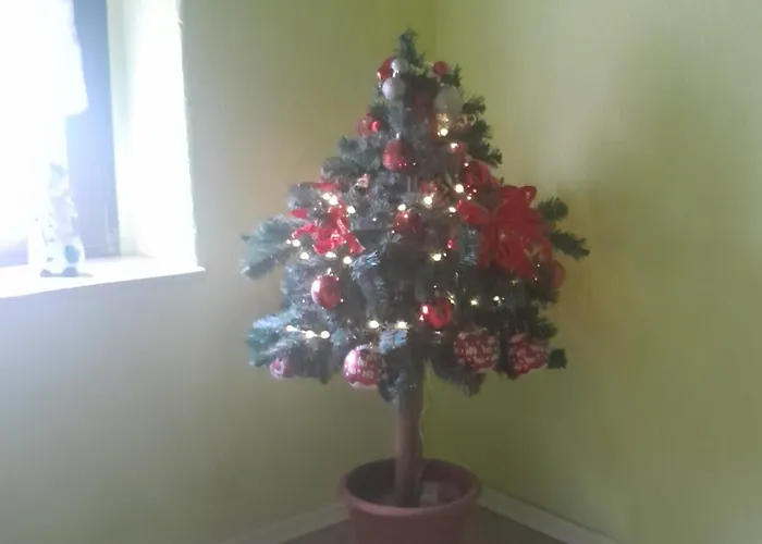 Taurasteinblick Burgstadt