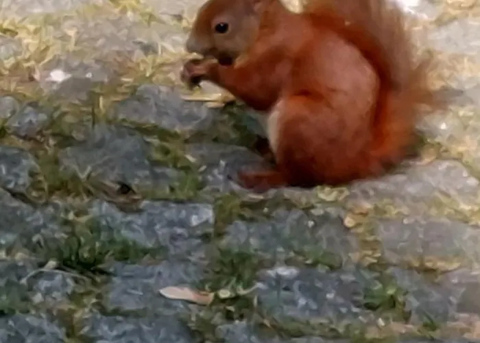 Taurasteinblick Apartment *